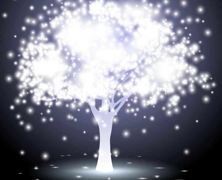 Lysets træ uden frugter