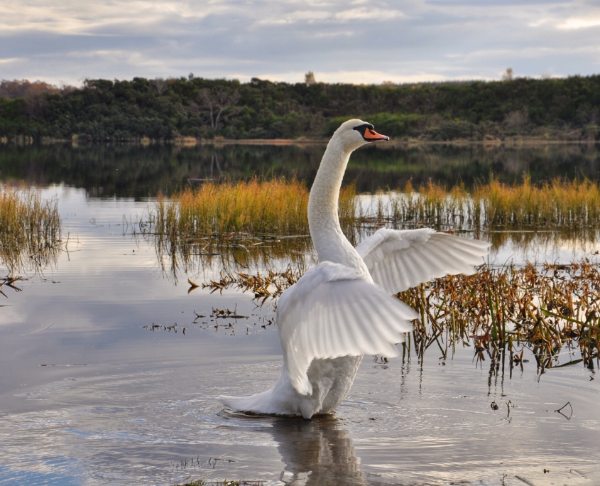 vantro-og-samtidig-vandre-i-tro