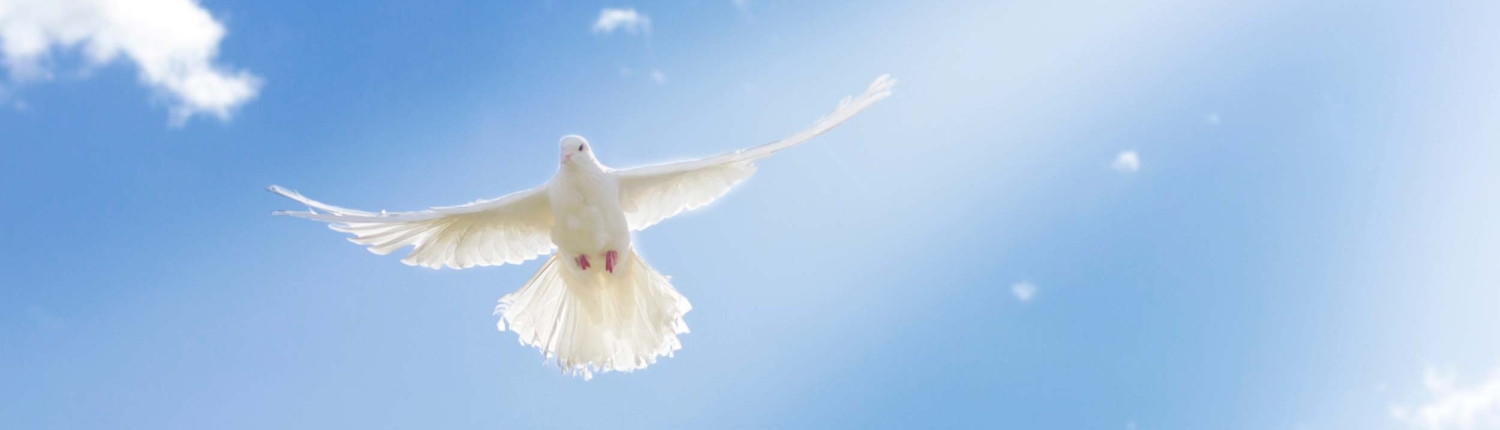 helligandens-dab-vs-helligandens-ledelse