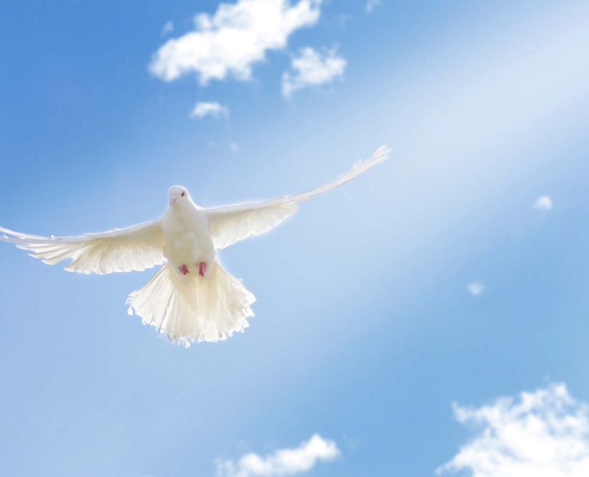 helligandens-dab-vs-helligandens-ledelse