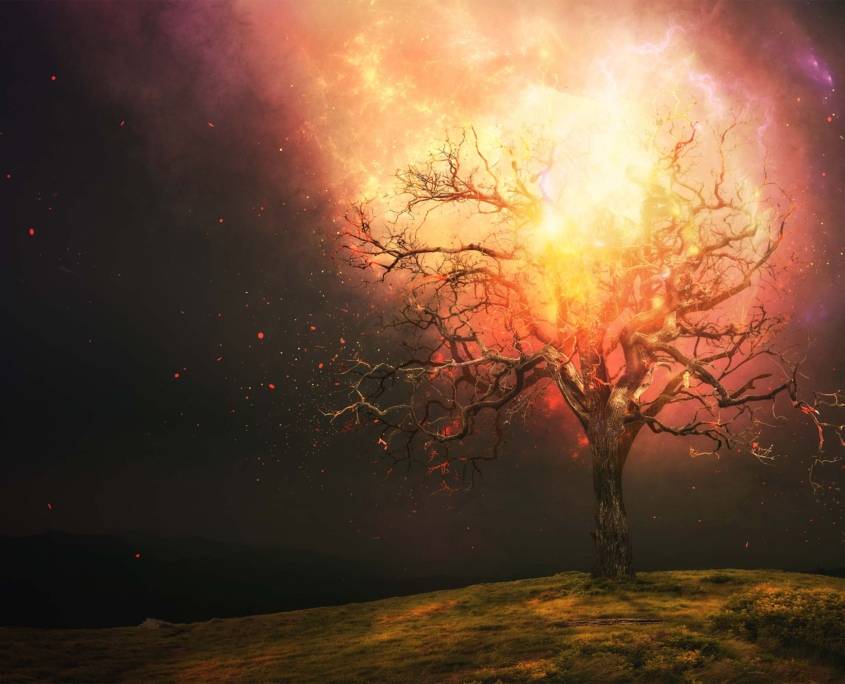 den-braendende-tornebusk