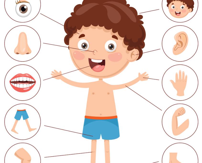 jesus-som-hoved-for-legemet